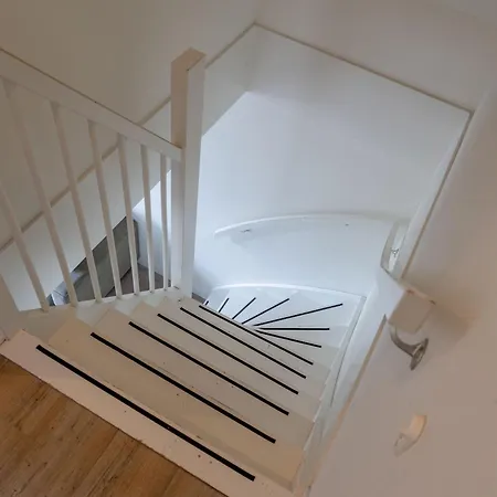 Duinroos * Egmond aan den Hoef