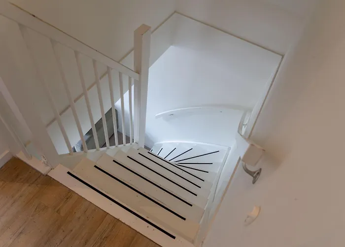 Duinroos * Egmond aan den Hoef